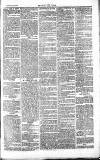 Chelsea News and General Advertiser Saturday 29 May 1869 Page 3