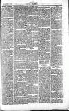 Chelsea News and General Advertiser Saturday 05 June 1869 Page 3