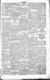 Chelsea News and General Advertiser Saturday 05 June 1869 Page 5
