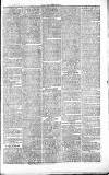 Chelsea News and General Advertiser Saturday 12 June 1869 Page 7