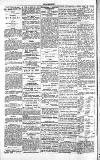 Chelsea News and General Advertiser Saturday 19 June 1869 Page 4