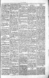 Chelsea News and General Advertiser Saturday 19 June 1869 Page 5