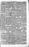 Chelsea News and General Advertiser Saturday 19 June 1869 Page 7
