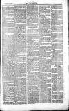 Chelsea News and General Advertiser Saturday 26 June 1869 Page 3