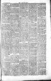 Chelsea News and General Advertiser Saturday 26 June 1869 Page 7