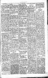 Chelsea News and General Advertiser Saturday 10 July 1869 Page 5
