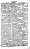 Chelsea News and General Advertiser Saturday 21 August 1869 Page 7