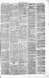 Chelsea News and General Advertiser Saturday 28 August 1869 Page 7