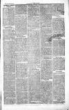 Chelsea News and General Advertiser Saturday 11 September 1869 Page 3