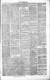 Chelsea News and General Advertiser Saturday 11 September 1869 Page 7
