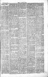 Chelsea News and General Advertiser Saturday 25 September 1869 Page 3