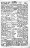 Chelsea News and General Advertiser Saturday 25 September 1869 Page 5