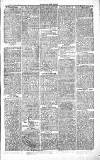 Chelsea News and General Advertiser Saturday 25 September 1869 Page 7