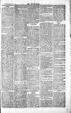 Chelsea News and General Advertiser Saturday 16 October 1869 Page 7
