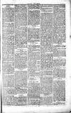 Chelsea News and General Advertiser Saturday 23 October 1869 Page 7