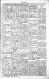 Chelsea News and General Advertiser Saturday 30 October 1869 Page 5