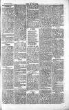 Chelsea News and General Advertiser Saturday 30 October 1869 Page 7