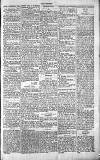 Chelsea News and General Advertiser Saturday 13 November 1869 Page 5