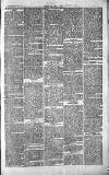 Chelsea News and General Advertiser Saturday 13 November 1869 Page 7