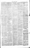 Chelsea News and General Advertiser Saturday 01 January 1870 Page 3