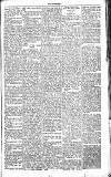 Chelsea News and General Advertiser Saturday 08 January 1870 Page 5