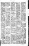 Chelsea News and General Advertiser Saturday 22 January 1870 Page 3