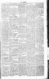 Chelsea News and General Advertiser Saturday 22 January 1870 Page 5