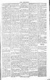 Chelsea News and General Advertiser Saturday 29 January 1870 Page 5