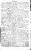 Chelsea News and General Advertiser Saturday 05 February 1870 Page 5