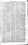 Chelsea News and General Advertiser Saturday 05 February 1870 Page 7