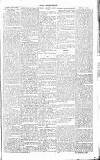 Chelsea News and General Advertiser Saturday 12 February 1870 Page 5