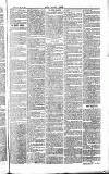 Chelsea News and General Advertiser Saturday 12 February 1870 Page 7