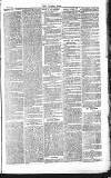 Chelsea News and General Advertiser Saturday 19 February 1870 Page 3