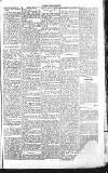 Chelsea News and General Advertiser Saturday 19 February 1870 Page 5