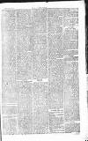 Chelsea News and General Advertiser Saturday 19 February 1870 Page 7