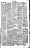 Chelsea News and General Advertiser Saturday 26 February 1870 Page 3