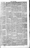 Chelsea News and General Advertiser Saturday 26 February 1870 Page 7