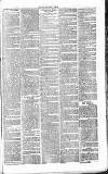 Chelsea News and General Advertiser Saturday 05 March 1870 Page 3