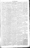 Chelsea News and General Advertiser Saturday 05 March 1870 Page 5