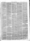 Chelsea News and General Advertiser Saturday 12 March 1870 Page 3