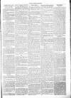 Chelsea News and General Advertiser Saturday 12 March 1870 Page 5
