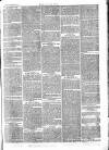Chelsea News and General Advertiser Saturday 12 March 1870 Page 7