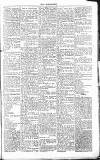 Chelsea News and General Advertiser Saturday 19 March 1870 Page 5