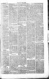 Chelsea News and General Advertiser Saturday 19 March 1870 Page 7