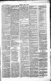 Chelsea News and General Advertiser Saturday 26 March 1870 Page 3
