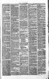 Chelsea News and General Advertiser Saturday 02 April 1870 Page 3