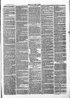 Chelsea News and General Advertiser Saturday 02 April 1870 Page 3