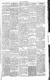 Chelsea News and General Advertiser Saturday 09 April 1870 Page 5