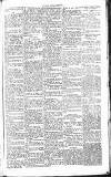 Chelsea News and General Advertiser Saturday 16 April 1870 Page 5