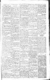 Chelsea News and General Advertiser Saturday 23 April 1870 Page 5